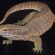 savannah monitor 2