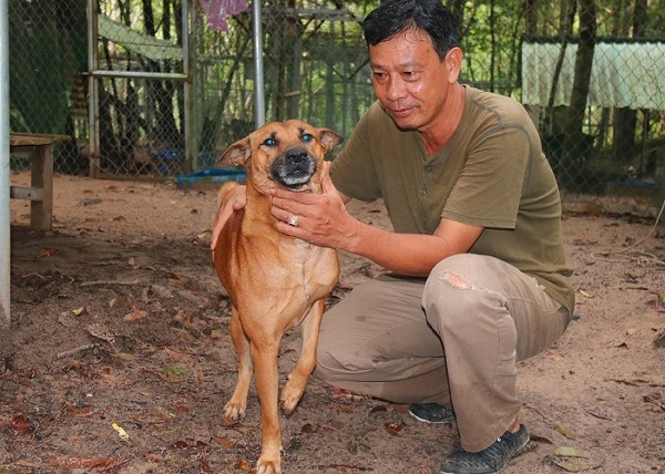 Lòng trung thành là phẩm chất nổi bật của chó xoáy