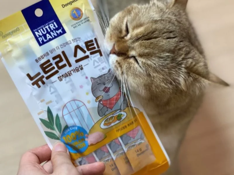 Các loại súp thưởng cho mèo phổ biến