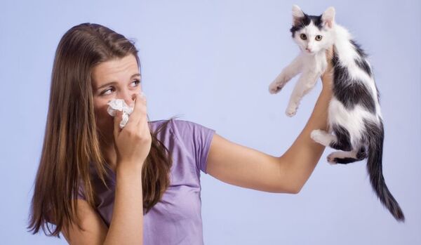 Triệu chứng dị ứng lông mèo thường gặp
